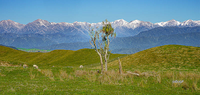 The Tararura Range from Moutere Road